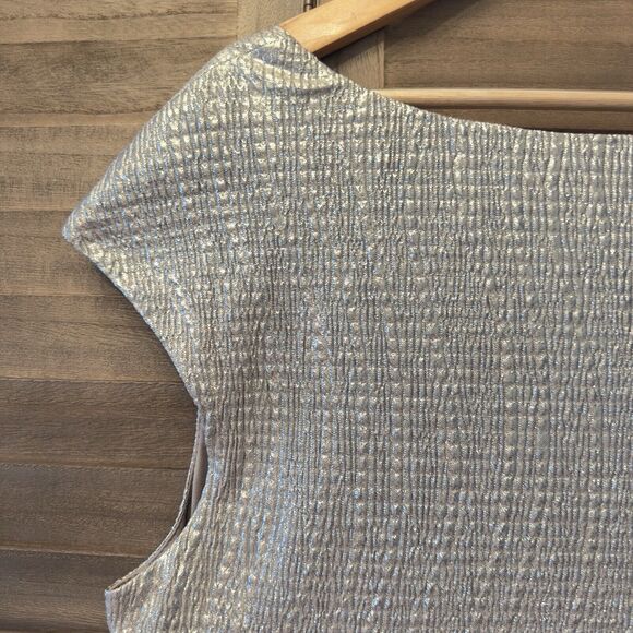 Collection DB‎ Silver Stretch Dress Party Wedding Curvy Belly Hide Plus Sz 20 - Picture 11 of 16